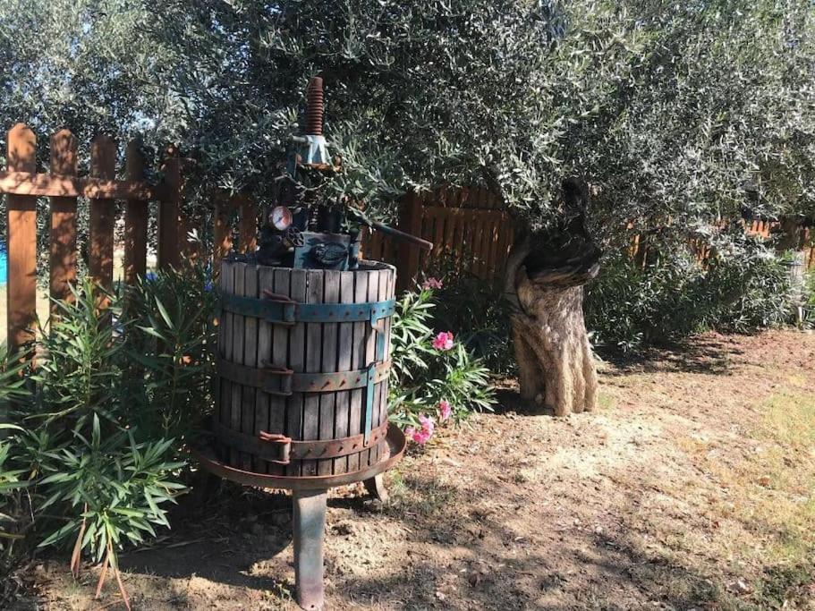 Appartamento Olivo Collecorvino Exterior foto